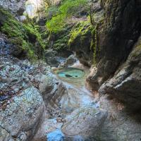 IMG_20251208_132854_032